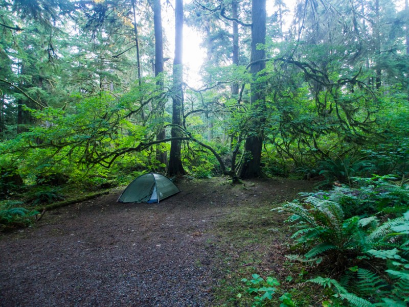 usa olympic national parc ideal campground