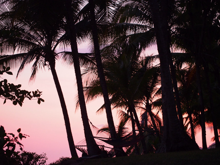 costa rica la leona eco lodge beach palm tree sunset