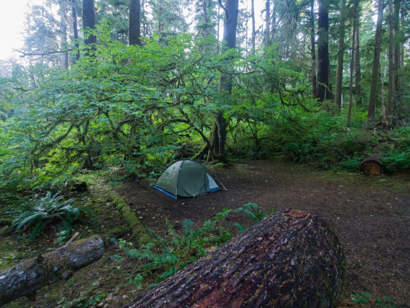 camping olympic np best spot