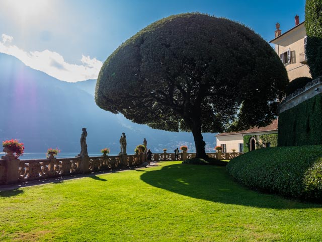 arbre rond Villa del Balbaniello