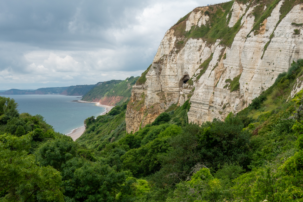 Boucle Beer Branscombe