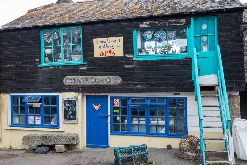 Cadgwith cove crab