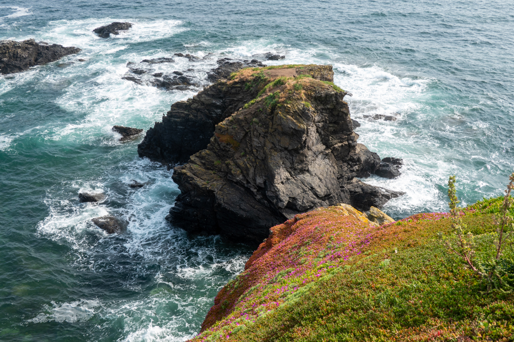 cap de Lyzard