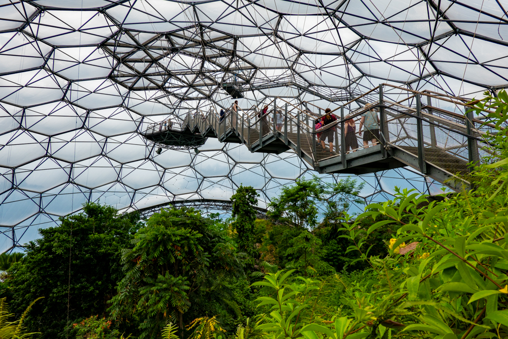 Eden Project stairs