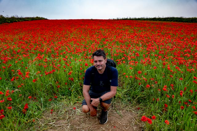 kellsey poppies