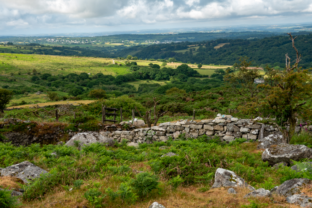 Superbe Dartmoor