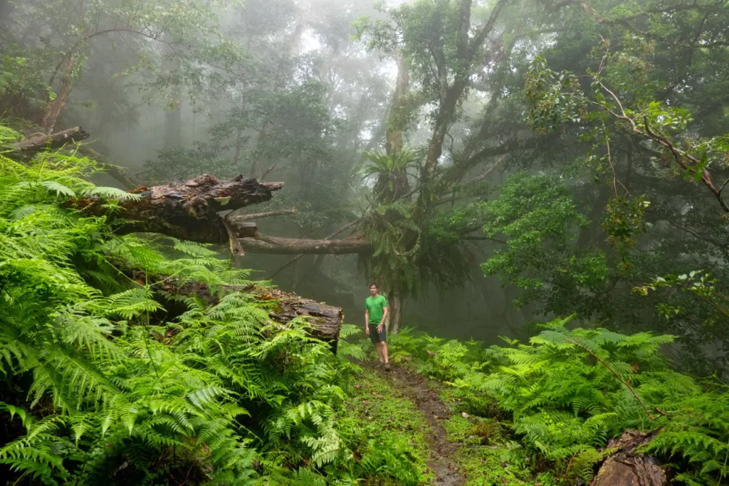 Huangma Police sation trail