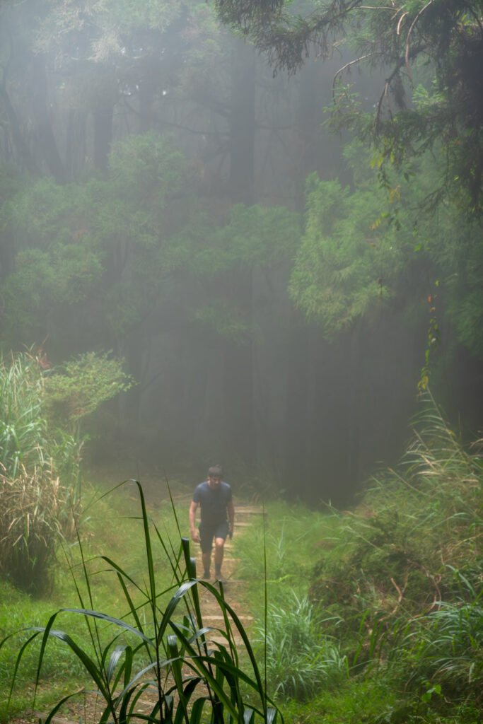 la brume s'intensifie alors que nous montons