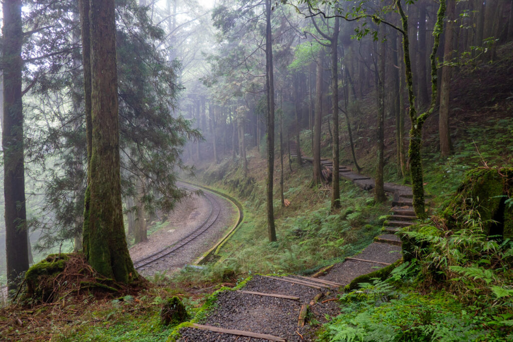 le sentier longe ensuite une voie ferrée