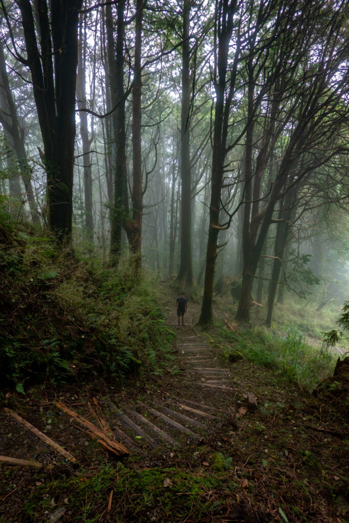 mais le sentier est impeccable