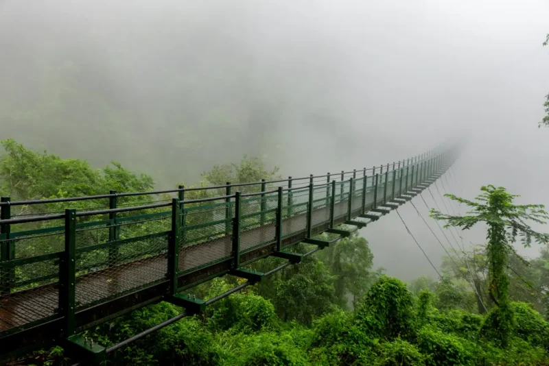 pont de singe walami