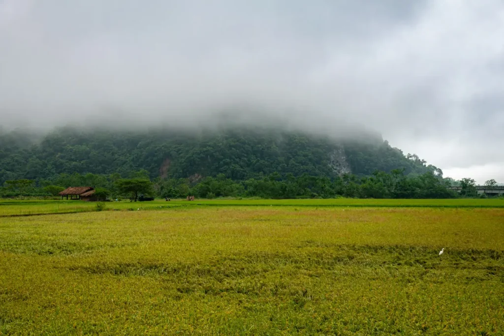 sur la route de Walami