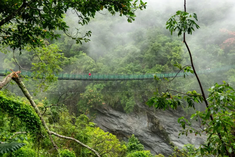 walami trail bridge