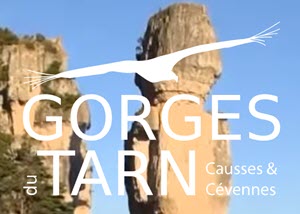 logo tourisme gorges tarn